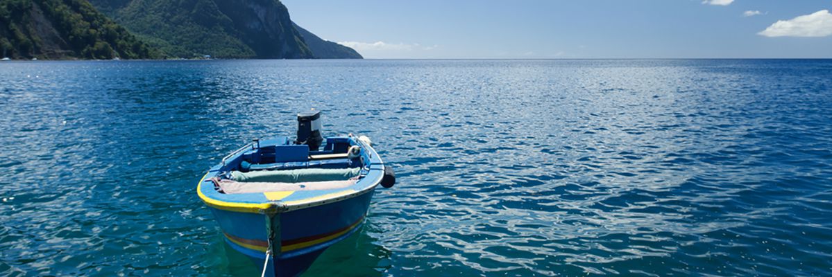 fg_87730990
